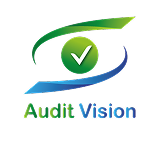 Audit vision