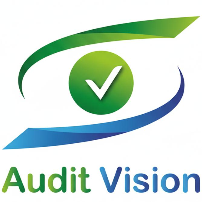 Audit Vision